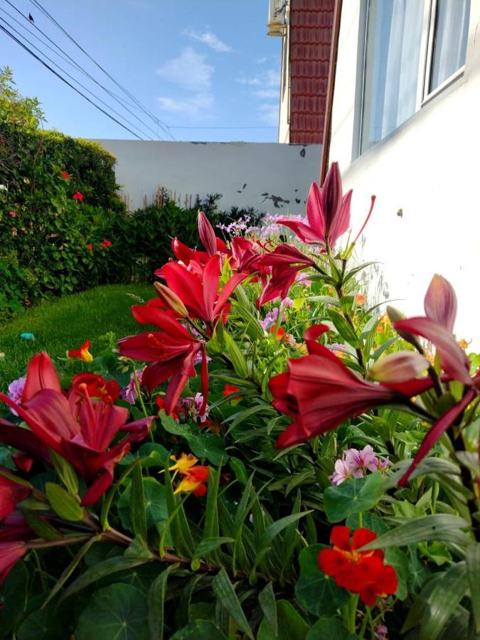 Con Jardin A Pasos De La Playa Holiday home
